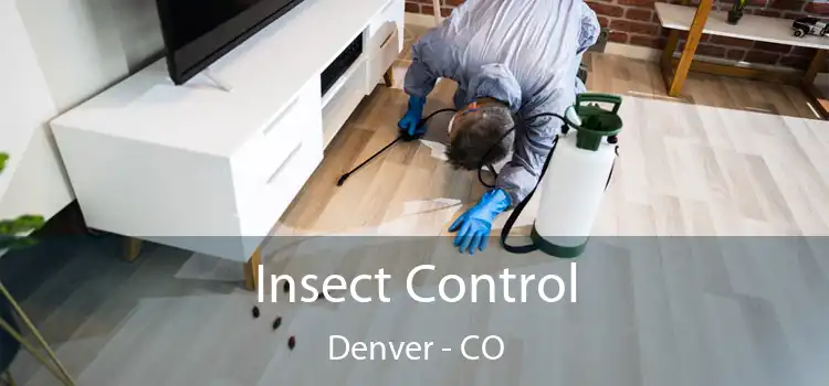 Insect Control Denver - CO