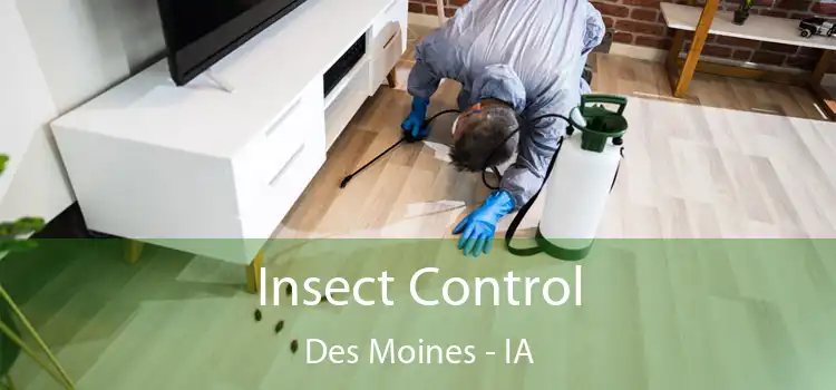 Insect Control Des Moines - IA