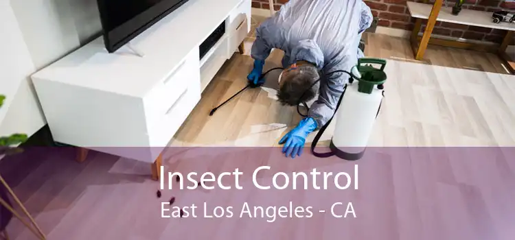Insect Control East Los Angeles - CA