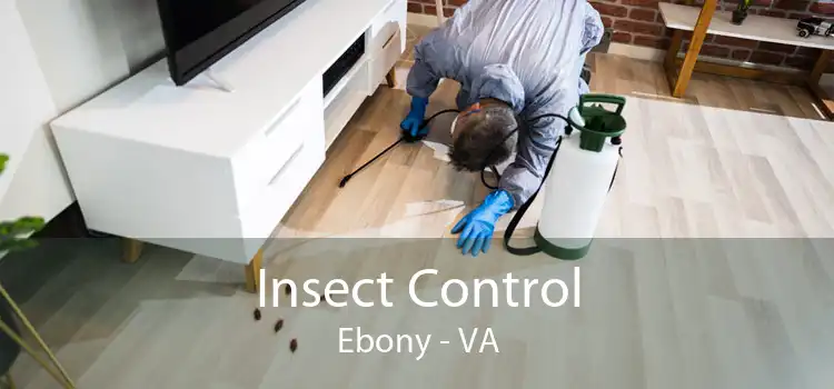 Insect Control Ebony - VA