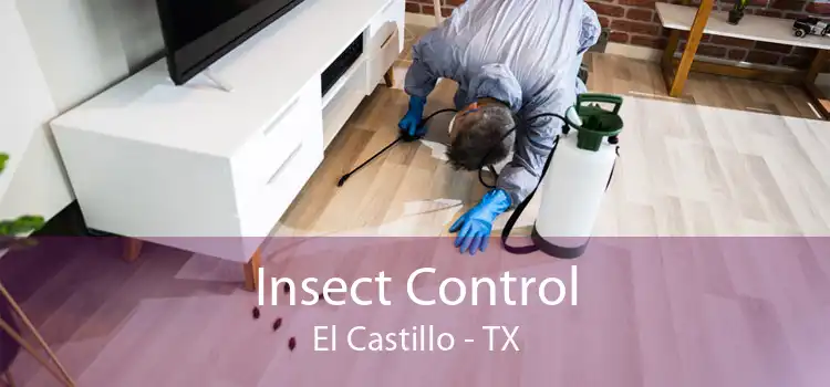 Insect Control El Castillo - TX