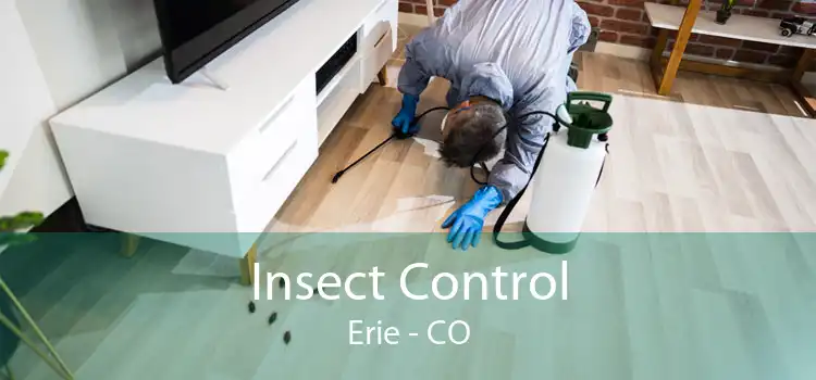 Insect Control Erie - CO