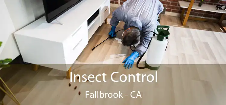 Insect Control Fallbrook - CA