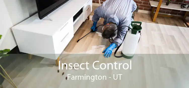 Insect Control Farmington - UT