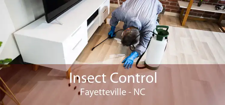 Insect Control Fayetteville - NC