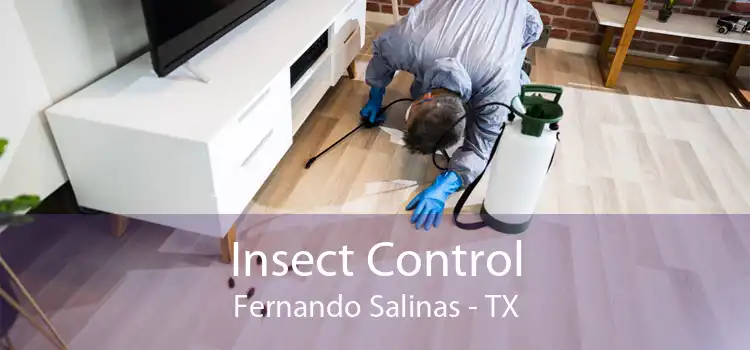 Insect Control Fernando Salinas - TX