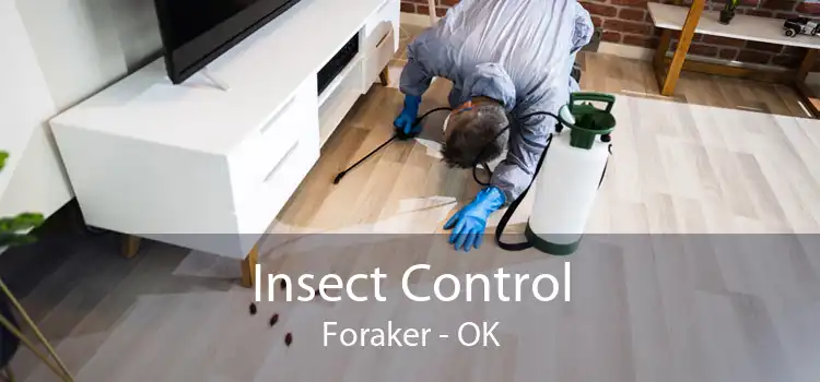 Insect Control Foraker - OK