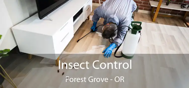  Insect Control Forest Grove - OR