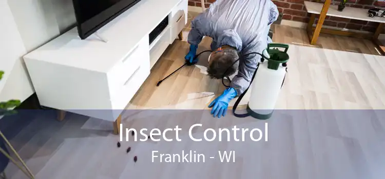 Insect Control Franklin - WI
