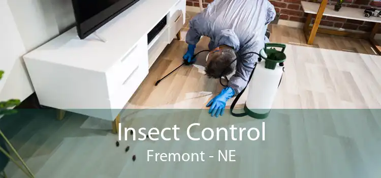 Insect Control Fremont - NE