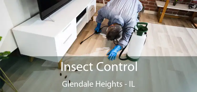  Insect Control Glendale Heights - IL
