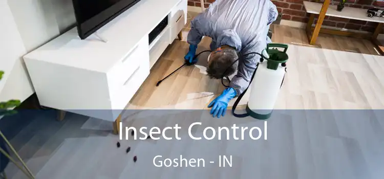 Insect Control Goshen - IN