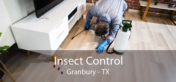 Insect Control Granbury - TX