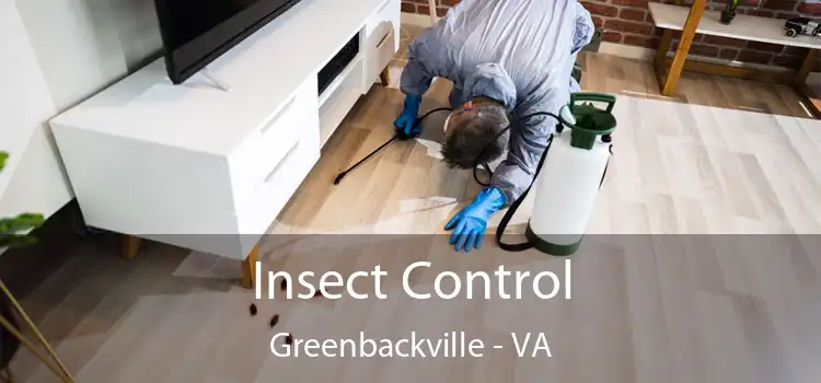  Insect Control Greenbackville - VA