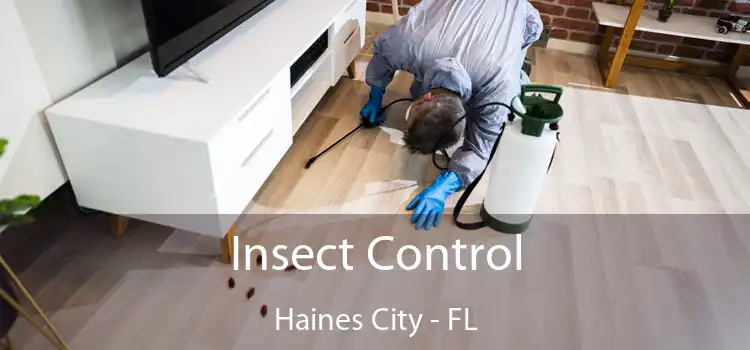  Insect Control Haines City - FL