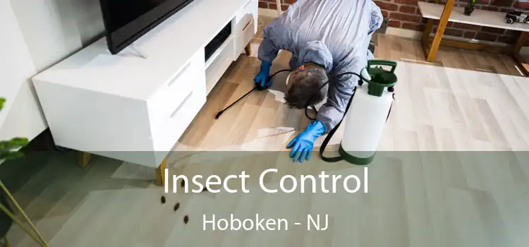 Insect Control Hoboken - NJ