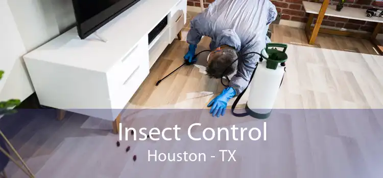 Insect Control Houston - TX
