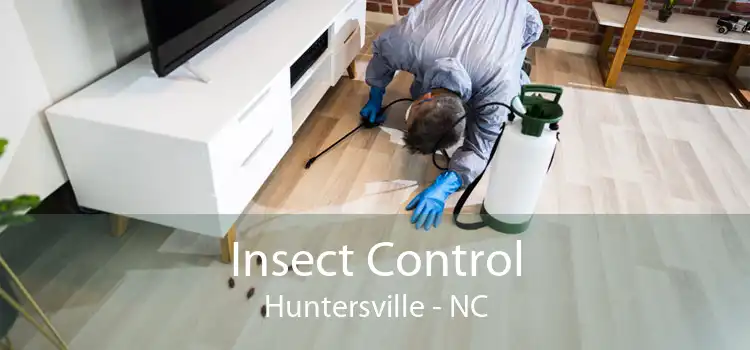 Insect Control Huntersville - NC