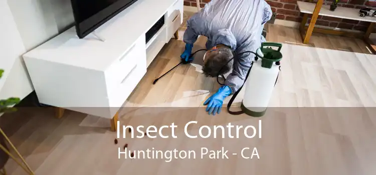 Insect Control Huntington Park - CA