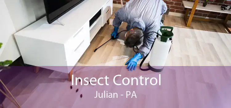 Insect Control Julian - PA