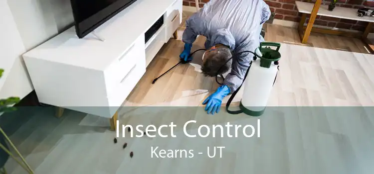 Insect Control Kearns - UT