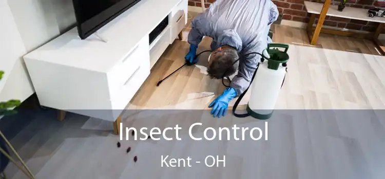  Insect Control Kent - OH