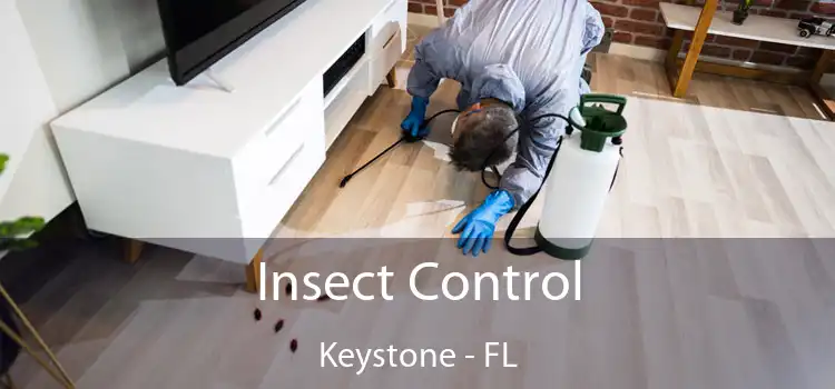  Insect Control Keystone - FL
