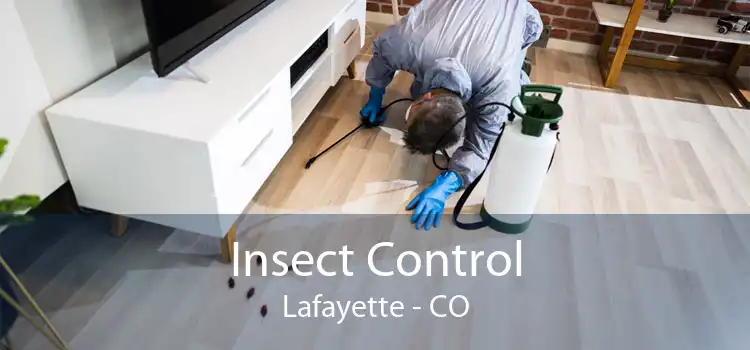 Insect Control Lafayette - CO