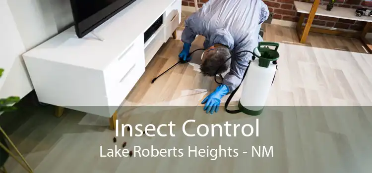 Insect Control Lake Roberts Heights - NM