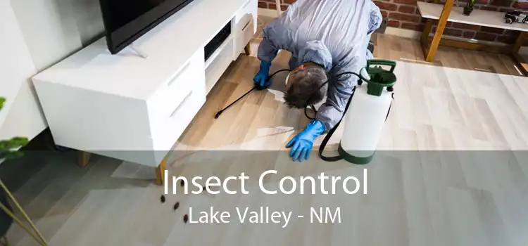 Insect Control Lake Valley - NM