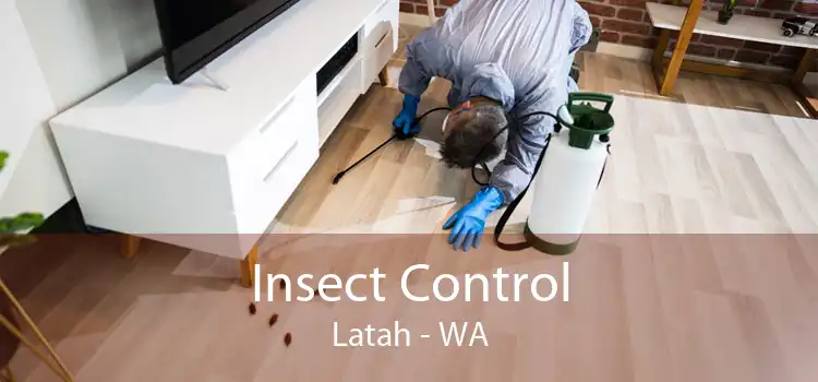 Insect Control Latah - WA
