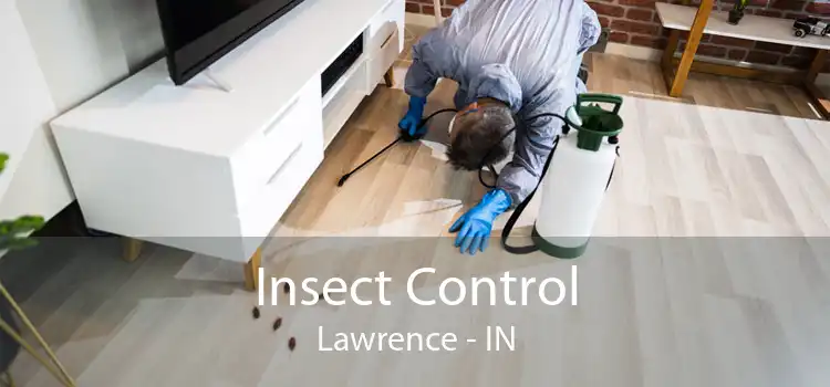 Insect Control Lawrence - IN