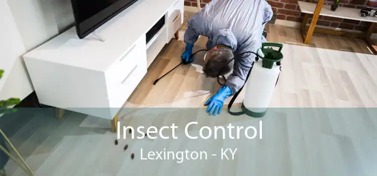 Insect Control Lexington - KY