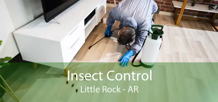 Insect Control Little Rock - AR
