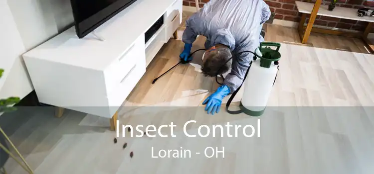 Insect Control Lorain - OH
