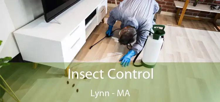  Insect Control Lynn - MA