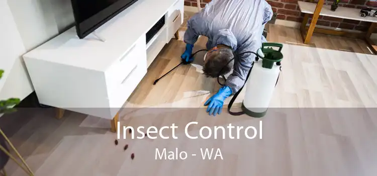 Insect Control Malo - WA