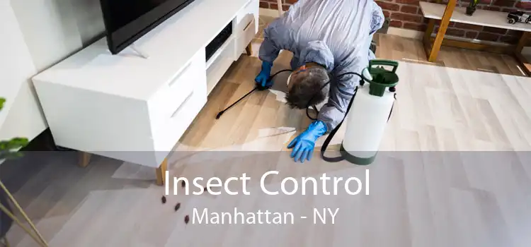 Insect Control Manhattan - NY