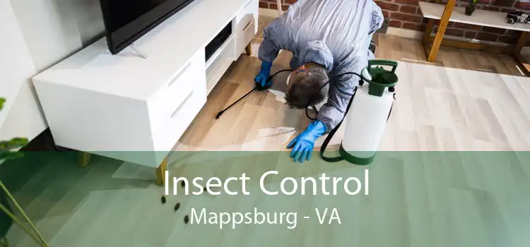 Insect Control Mappsburg - VA