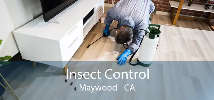 Insect Control Maywood - CA