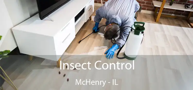  Insect Control McHenry - IL