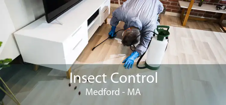 Insect Control Medford - MA
