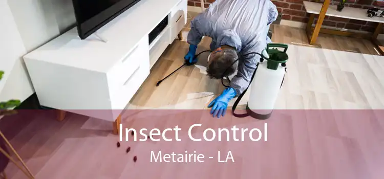 Insect Control Metairie - LA