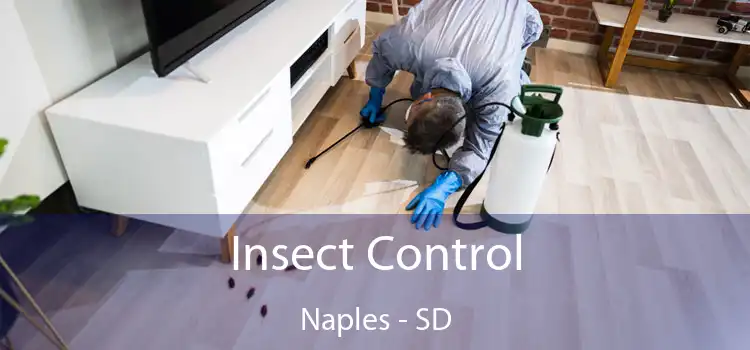  Insect Control Naples - SD