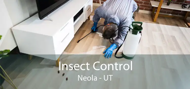 Insect Control Neola - UT