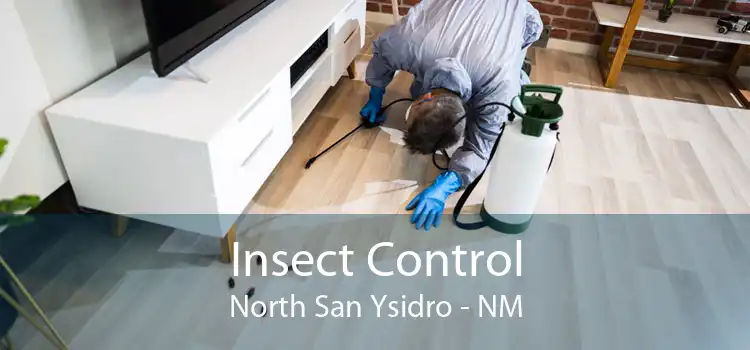 Insect Control North San Ysidro - NM