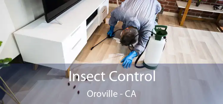  Insect Control Oroville - CA