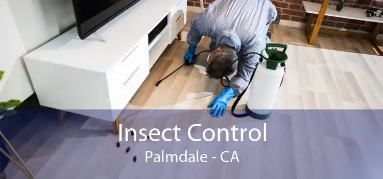 Insect Control Palmdale - CA