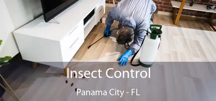  Insect Control Panama City - FL