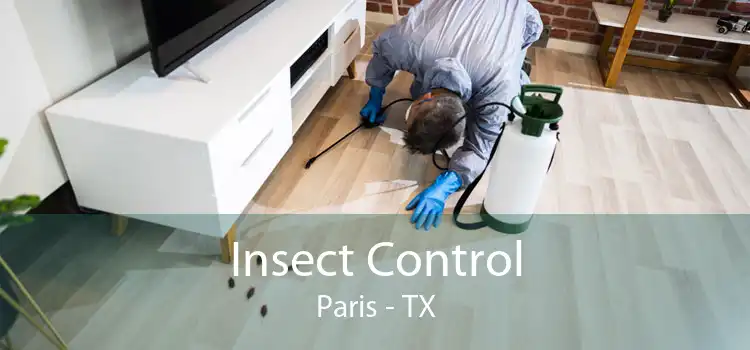 Insect Control Paris - TX
